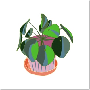 Pilea Posters and Art